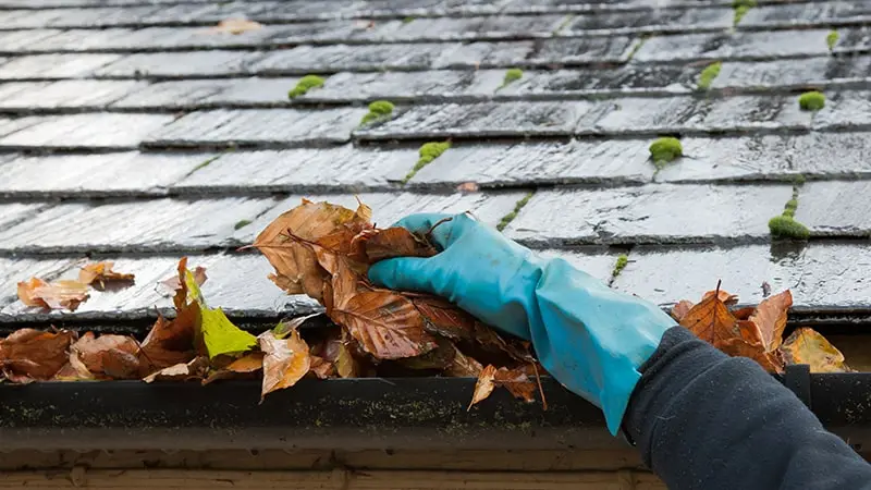 Gutter cleaning in Houston